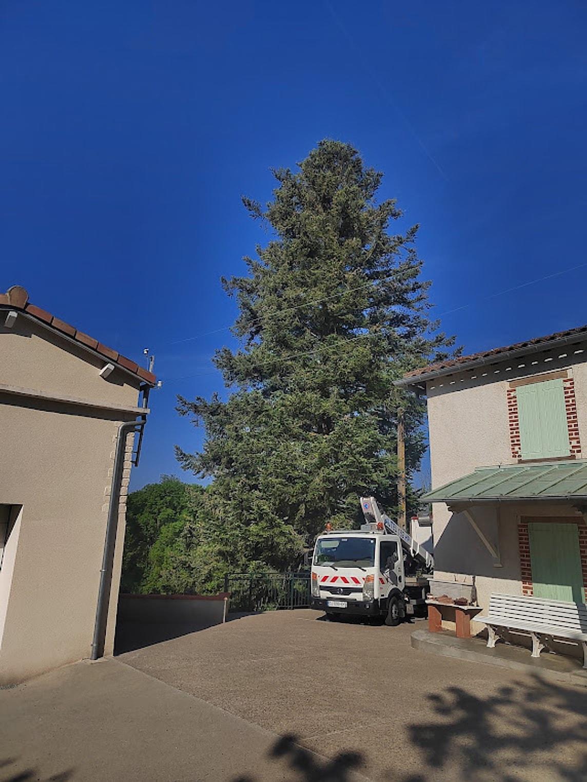 Grand conifère entre deux maisons avant son démontage, camion-nacelle en place