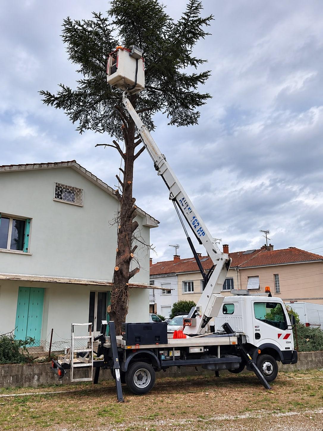 Camion-nacelle Renaud Élagage déployé dans un cèdre ébranché, au ras d'une maison